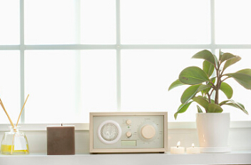 室內門鎖配植（zhí）物