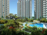 深圳陽光海濱花（huā）園