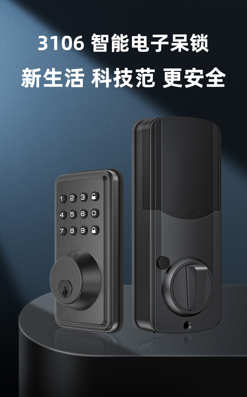 3106智能電子呆鎖 3106智能電子呆鎖