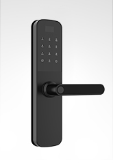 合欢视频智能鎖6505mini 美國黑