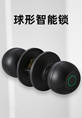 3115球（qiú）形指紋鎖